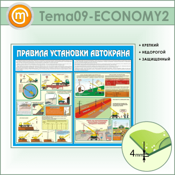     (TM-09-ECONOMY2)